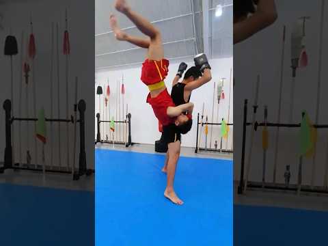 #wushu sanda is a Chinese combat martial art that combines kicking, punching and throwing techniques