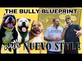 The Breeder Who CHANGED the Game! Nuevo Style Bullies Kennel Tour