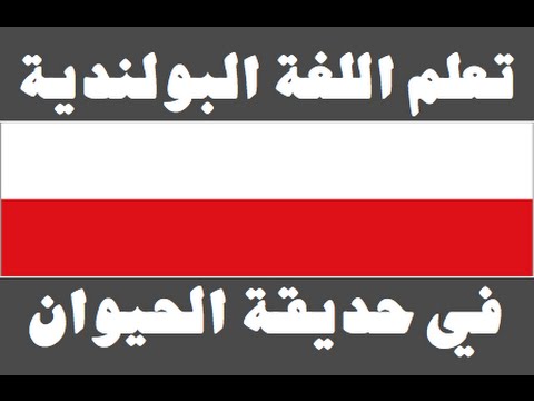 تعلم اللغة البولندية ١ العائلة Ucz się arabskiego