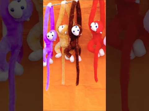 En feria de Villa de Soto, Córdoba, Argentina.#villadesoto