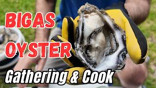 We Found The BIGGEST Wild Oysters in New Zealand! (Catch & Cook Feast)