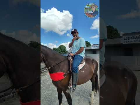 Feira de cavalo de Abreu e Lima-PE Sábado: 13/06/26 #viral #cavalo #horse #agro  #copadomundo2026