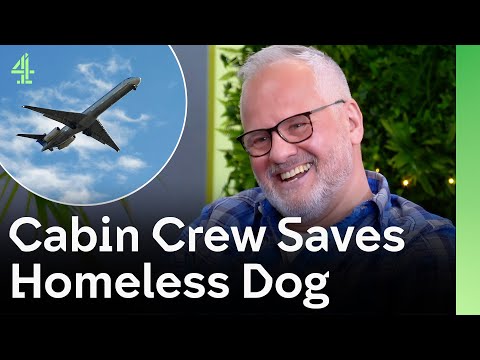 Cabin Crew Attendant Saves Homeless Dog | The Dog House 🐶