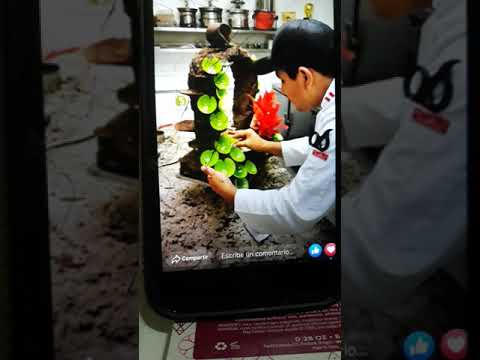 Salón estructurachocolate#3