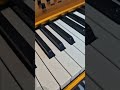 Studiologic Numa X Piano GT SE thumbnail 8