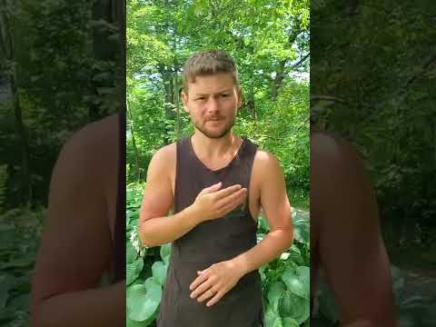 How White People Invented Bluegrass