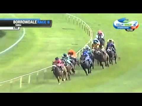 2016.02.14 Ipi Tombe Stakes (ZIM) - Principled Man