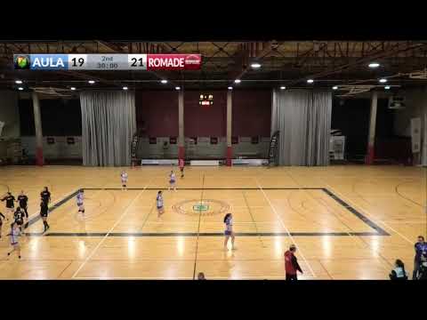 DIVISIÓN DE HONOR PLATA | AULA VALLADOLID - BALONMANO ROMADE