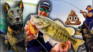 I Took My Crazy Dog Fishing And He 💩 Pooped On The Boat