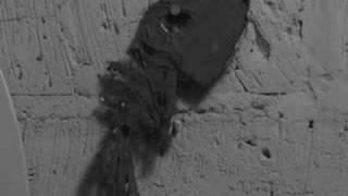 The Gathering - Alone