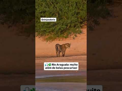 Encantos da Natureza - São Miguel do Araguaia