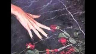 Say you're sorry -Ministry