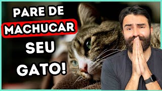 7 Coisas que Nos Tornam Maus Pais de Gatos (Aos Olhos do Seu Gato)