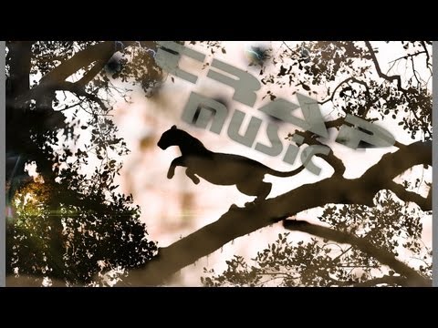 Shifto -- Kazantip 2013 - THE |Z| FAMILY [TRAP, SWAG,SEX,DRINK,PARTY,RUSSIA]