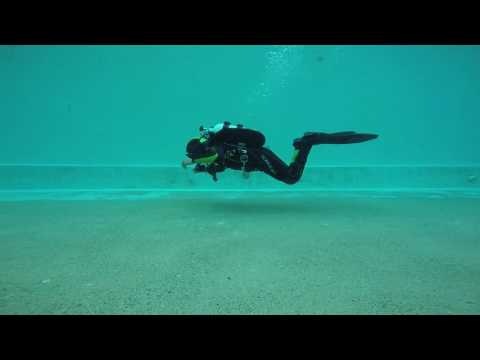 Leo performing the 6 basic kicks