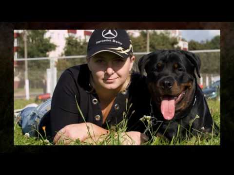 EKATERINA II IZ AGLITSKOGO SADA.Rottweiler. kennel Roterva Extra