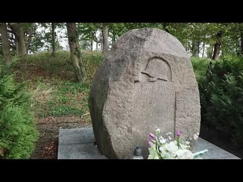 Malerzów, urokliwa wieś wśród lasów, w gminie Dobroszyce, warto tam być..