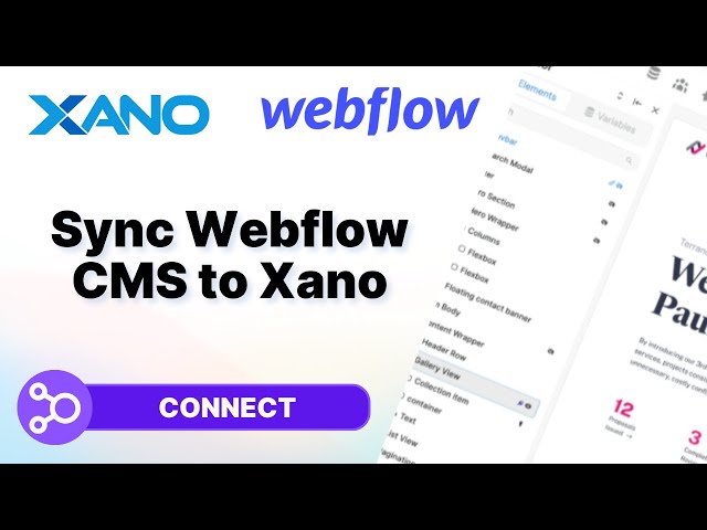 Sync your Webflow CMS with Xano