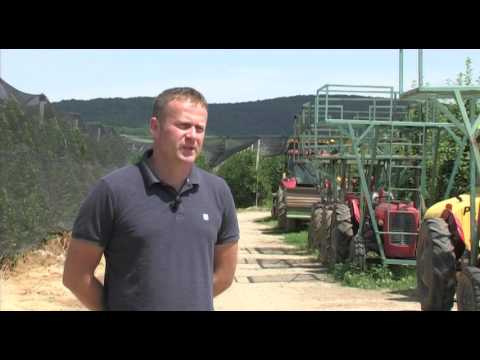 Može bolje ep. 20 NAJAVA