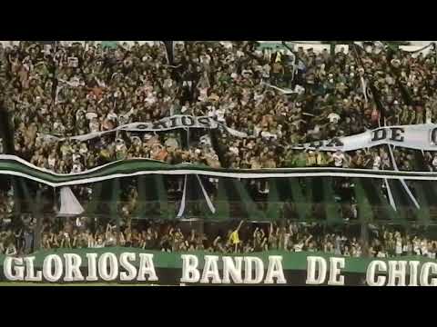 "Yo soy del verde por qué el mundo me hizo así" Barra: Los Pibes de Chicago • Club: Nueva Chicago