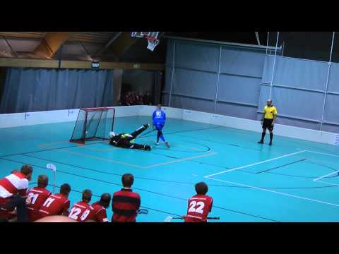 Voima   Dynamo maalikooste