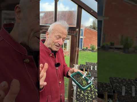 March Sowing: Hardy Veg Seeds to Start Now