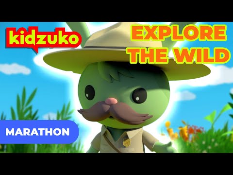 @Octonauts - 🌎 Great Adventures in the Wild 🐊 | Full Episodes Marathon | @Kidzuko