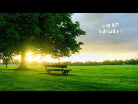 Jorg Zimmer - Forgotten (Original Mix)