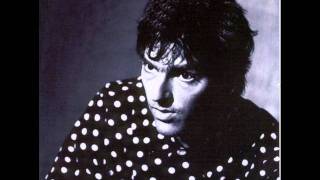 robyn hitchcock acid bird