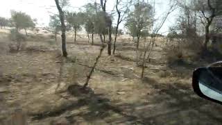 preview picture of video 'Drive to Gurudwara Suhava Sahib(Sahwa)and Nanak Tila,Churu(Rajasthan)'