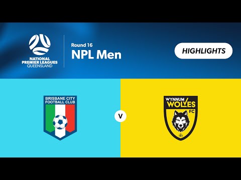 NPL Men Round 16 - Brisbane City vs. Wynnum Wolves Highlights