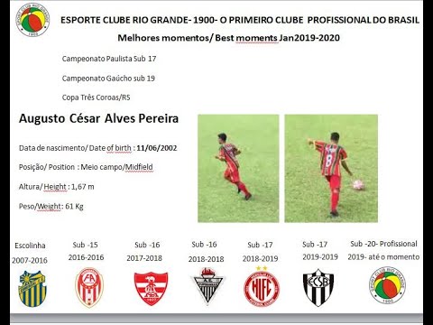 Resumo primeiro semestre 2019