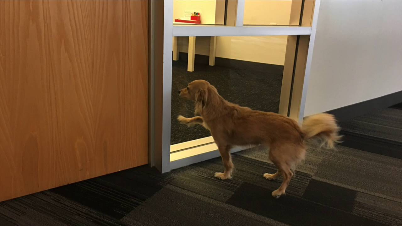 Build your own Cloud: How to host the JSS in AWS - XWorld 2016