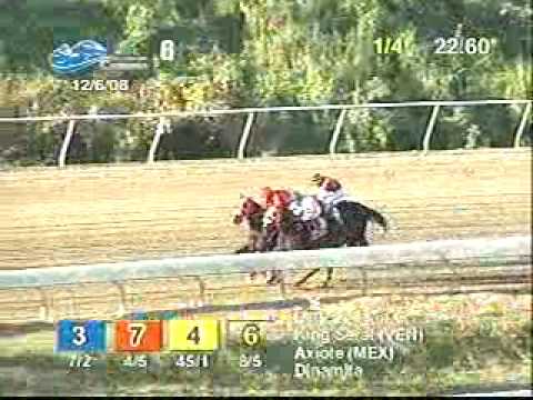 Copa Velocidad del Caribe 2008 (King Seraf)