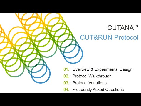 CUT&RUN Protocol Walk-through | EpiCypher CUTANA™ CUT&RUN Assays
