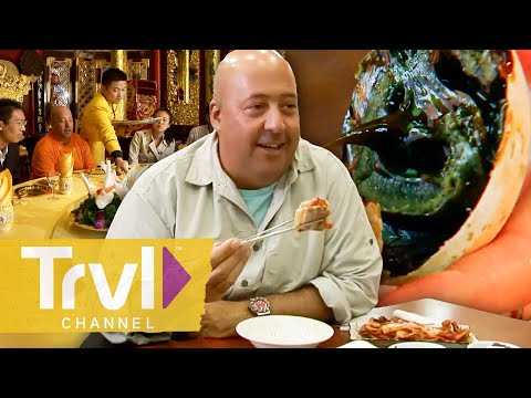 China, Japan, India & More! | Bizarre Foods with Andrew Zimmern | Travel Channel
