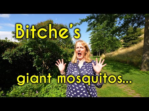 Bitche Citadel - you won't believe the size of the mosquitos