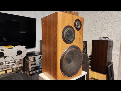 Victor SX 521 миниАнонс