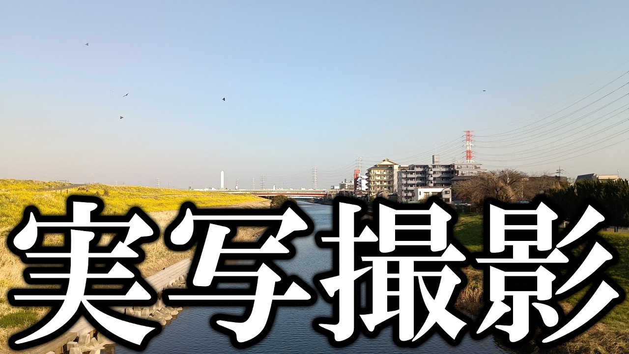 【実写撮影】実写撮影をするえーり！！！