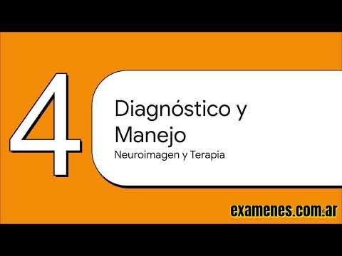 Ver video en YouTube