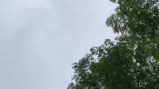 Jaden Smith Unreleased New Song “It’s Always Been You”