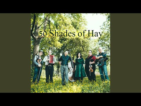 Too Much Vodka (feat. Wendy Newcomer)