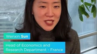 #27 Wenxin SUN - Economic risks of industrial projects