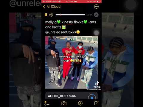 melly g x nesty floxks - arts and krafts