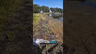 Download lagu Si TOMAN BELUM DI PANCING, UDAH NYERAH DULUAN‼️😂 #shorts #fishing #rickyrawa mp3