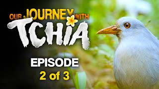 Our Journey With Tchia | Ep. 2/3 - The Place