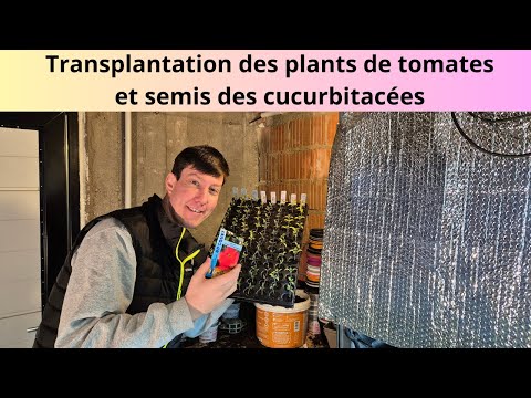 , title : 'Transplantation des plants de tomates et semis des cucurbitacées'