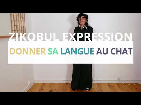 Donner sa langue au chat - Zikobul Expression