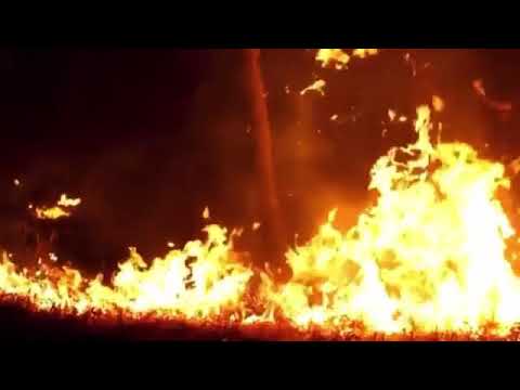 Eddie, lemme go back to my home