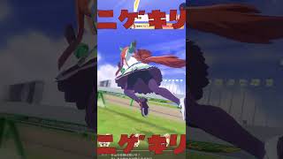 逃げ切ったあとにオグリキャップを煽るサイレンススズカと映りたgirl